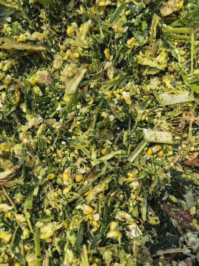 Welche Kernstärken machen Yiman Agriculture zu Ihrem idealen Lieferanten für Großimportprojekte für Sauerkohl?
