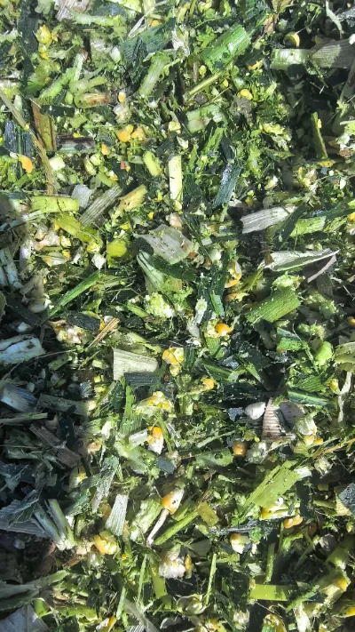 Angesichts der häufigen Herausforderungen bei der weltweiten Lagerung und dem Transport von Frischprodukten stellt sich die Frage: Wie können wir die durchgehend frische Qualität des Rundkohls von Yiman Agricultural aufrechterhalten?