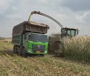 Wie lassen sich Maissilage-Ideen optimieren, um die Qualität des Viehfutters und den Gewinn des Bauernhofs zu steigern?