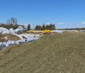 Wie baut man eine langlebige Silagegrube für die Futterlagerung in großen Tierhaltungsbetrieben?