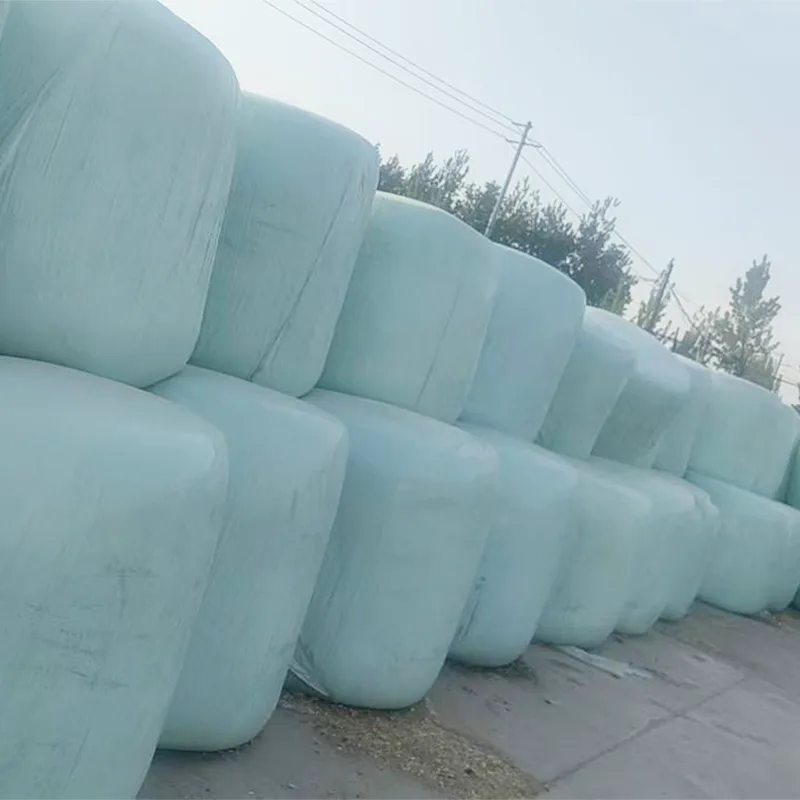 Maissilage im Großhandel