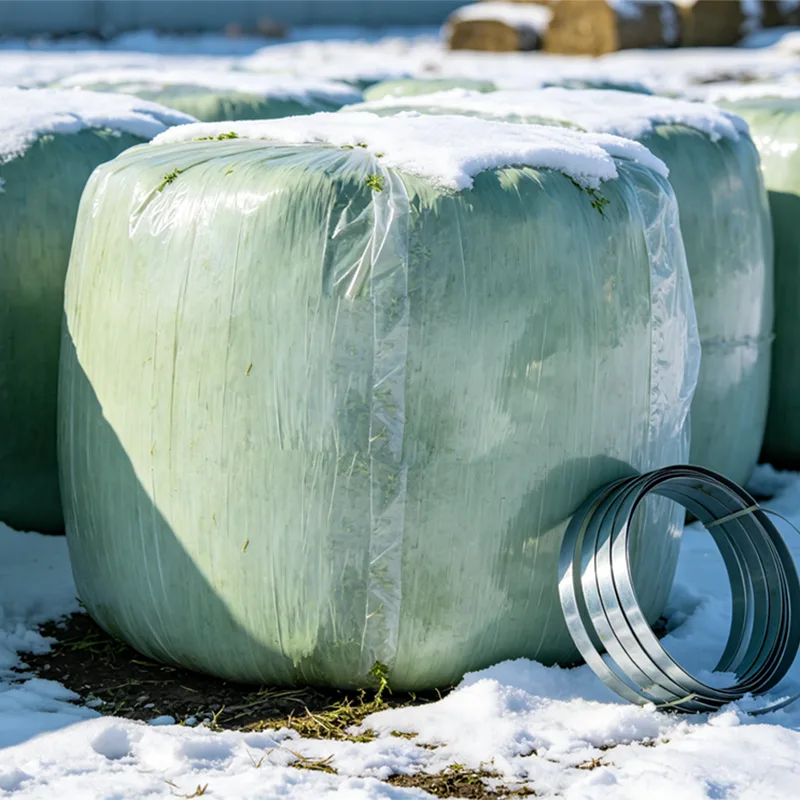 Kältebeständige Ballensilage