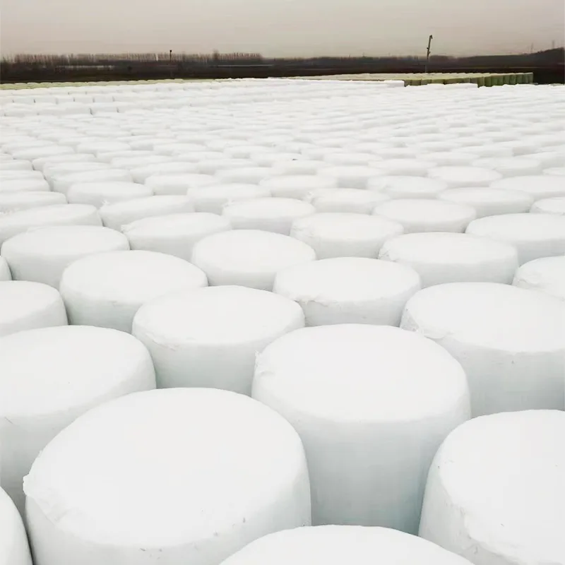 Einfach zu transportierende Maissilage in Ballenform