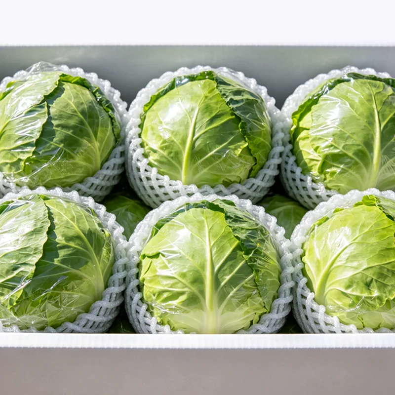 Verpackter Kohl in Exportqualität