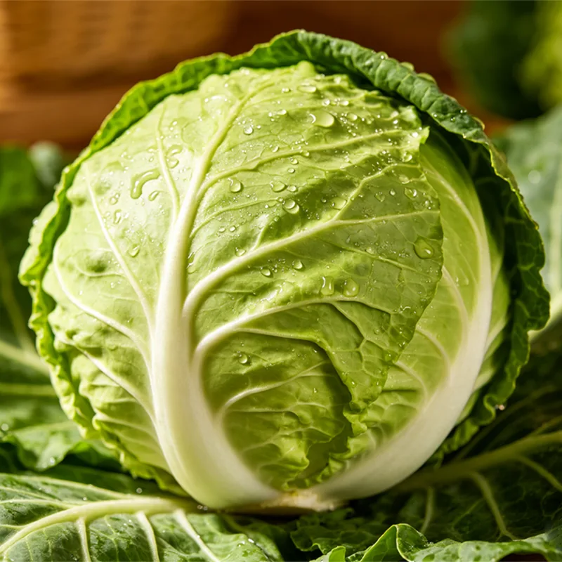 Runder Kohl in Premiumqualität