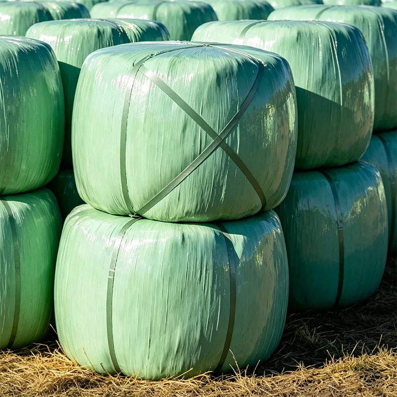 UV-geschützte Maissilage in Ballenform
